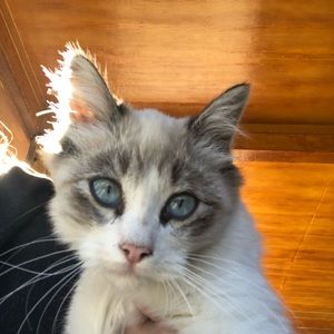 Meet your Posher, Stacey